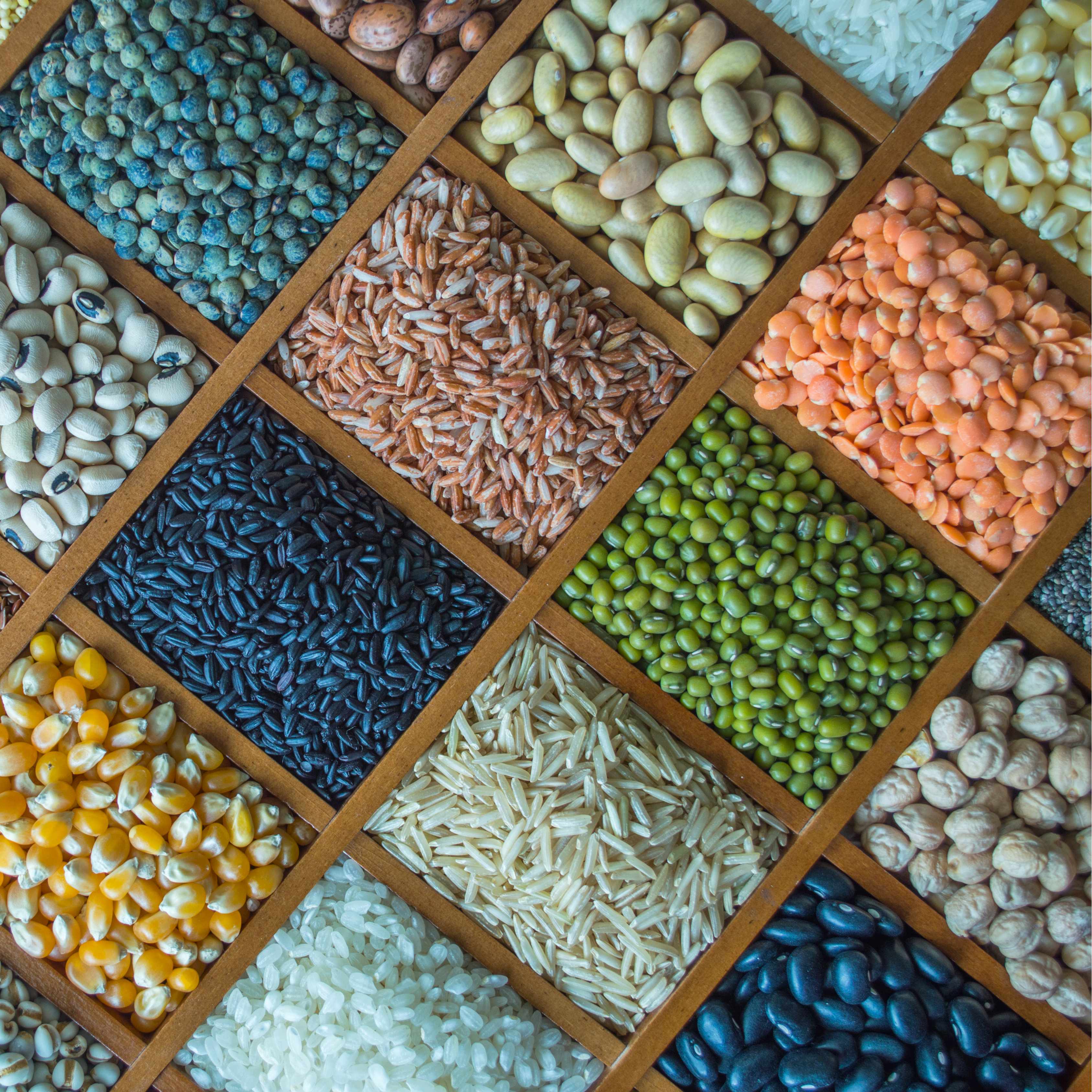 Grains&Pulses-img